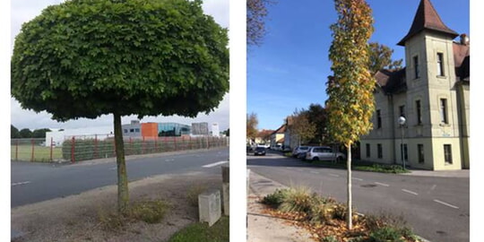 Sitzung des Ortschaftsrats, M&auml;rz 2026 &ndash;R&uuml;ckblick