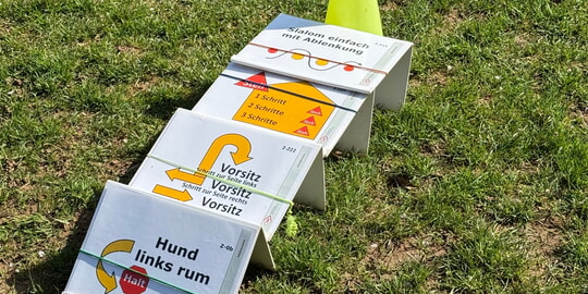 Auf die Pl&auml;tze - fertig - los!