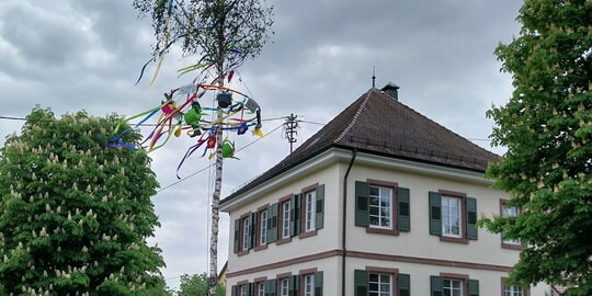 30. Maibaumstellen des Heimatvereins Karlsbad