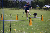 Starke Leistungen in Kieselbronn bei der Kreismeisterschaft im Turnierhundesport 