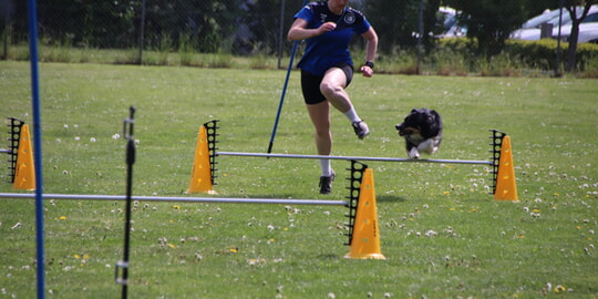 Starke Leistungen in Kieselbronn bei der Kreismeisterschaft im Turnierhundesport 