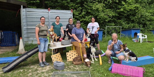 Bericht vom Sp&uuml;rHundSport-Seminar