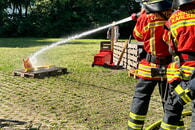 Bronze und Gold f&uuml;r Karlsbad