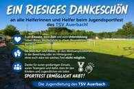 www.tsv-auerbach.de