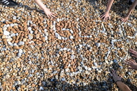  &bdquo;Auf nach Hastings, in den S&uuml;den Englands!&ldquo;