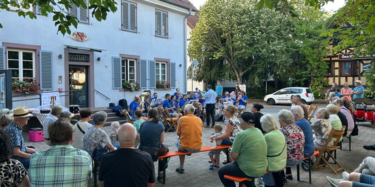 R&uuml;ckblick MVE-Musiksommer