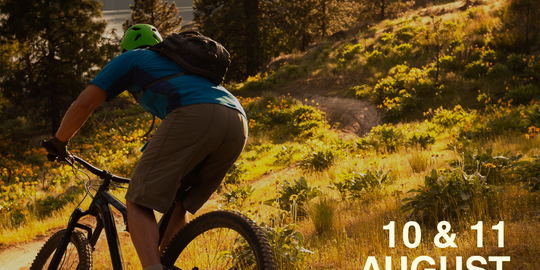 Mountainbike Trip im Schwarzwald
