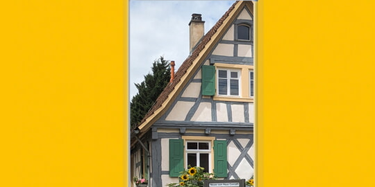 Wir starten mit unserem Herbstprogramm!