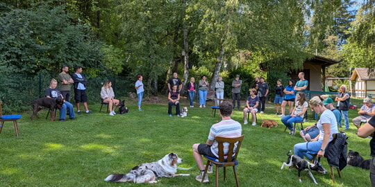 Sommeraktion statt Sommerpause