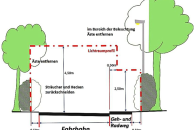 Hecken und Str&auml;ucher rechtzeitig zur&uuml;ckschneiden &ndash; F&uuml;r mehr Sicherheit im Herbst und Winter!