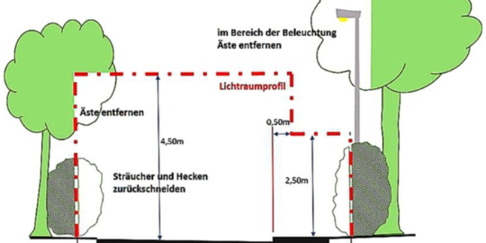 Hecken und Str&auml;ucher rechtzeitig zur&uuml;ckschneiden &ndash; F&uuml;r mehr Sicherheit im Herbst und Winter!