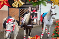 Nikolausmarkt 2026
