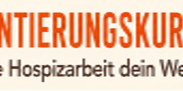 dm Aktion