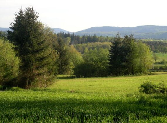 Horizont