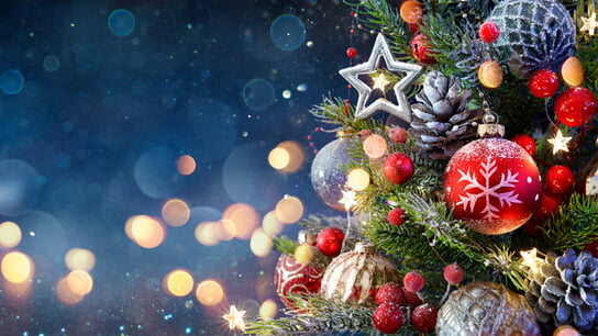 Nahaufnahme eines festlich geschmückten Weihnachtsbaums vor sternenfunkelndem Nachthimmel