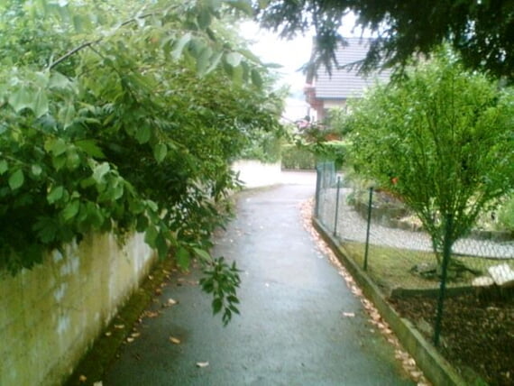 Ueberhaengende Aeste 35