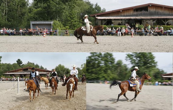 Westernreitturnier Collage
