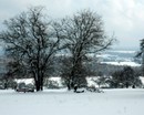 Blick zum Schwarzwald