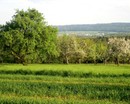 Landschaftsbild